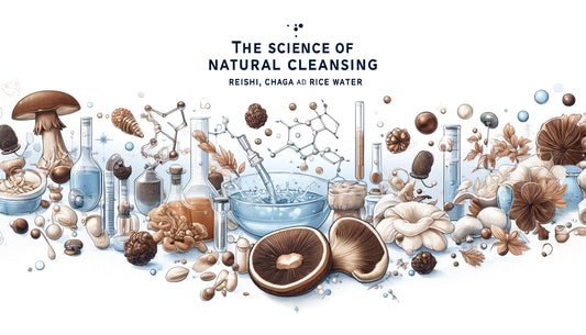The Scientific Perspective on the Cleansing Benefits of Reishi, Chaga, and Rice Water
